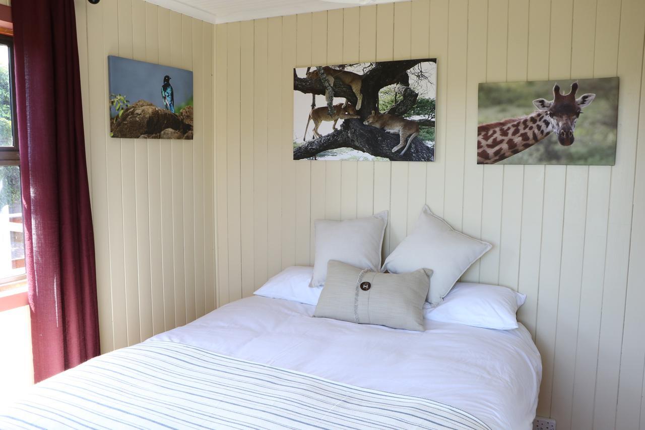 Allan Grove Knysna Exterior photo